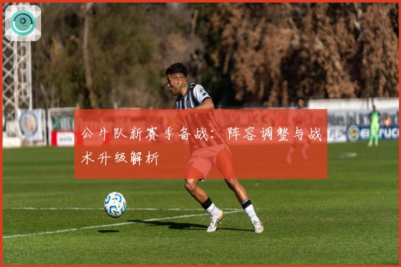 公牛队新赛季备战:阵容调整与战术升级解析