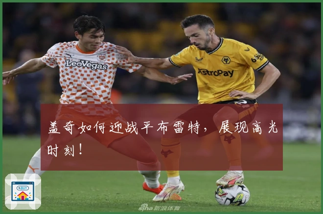 盖奇如何迎战平布雷特，展现高光时刻！