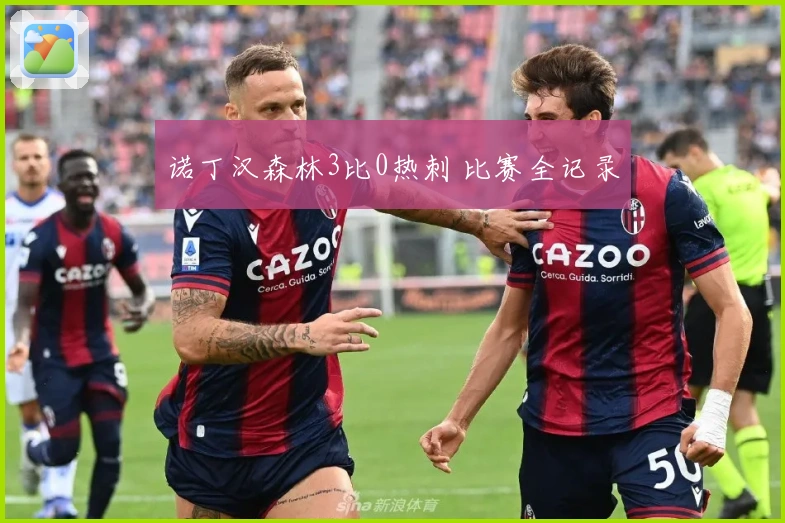 诺丁汉森林3比0热刺 比赛全记录